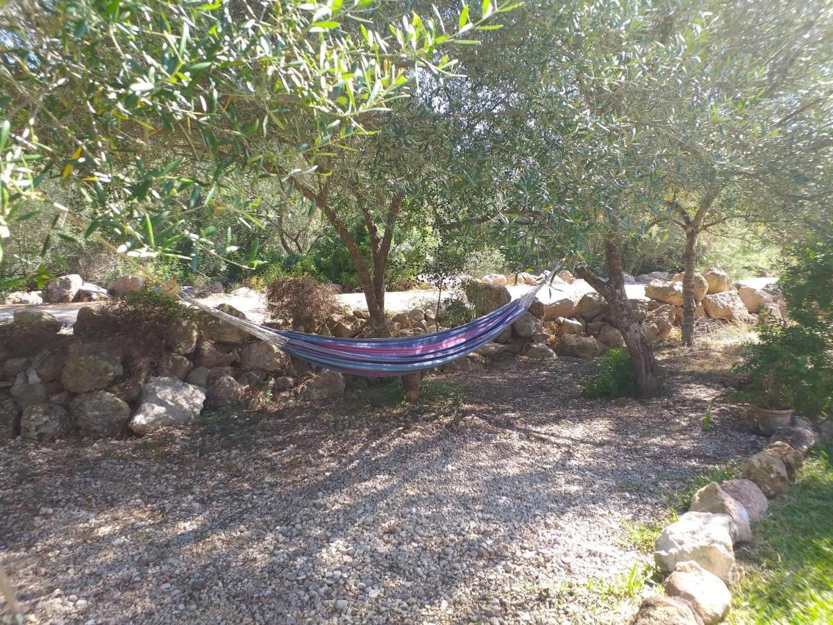 Villa Beatrice Sencelles Εξωτερικό φωτογραφία